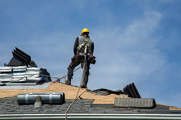 Professional Gutter Installation technician working in Ralston, NE